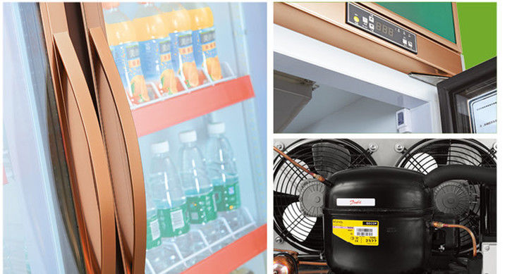 Supermarket Commercial Single-Temperature Energy Drink Beverage Display Refrigerator Vertical Plug-In Upright Freezer LED Fan